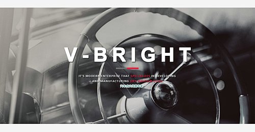 Zhejiang V-Bright Auto Fittings Co.,Ltd. logo